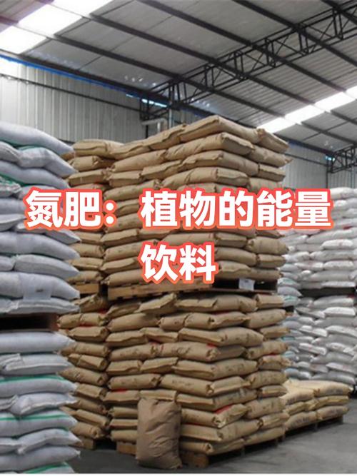 氮肥:植物的能量饮料